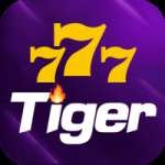 777tiger Live Max